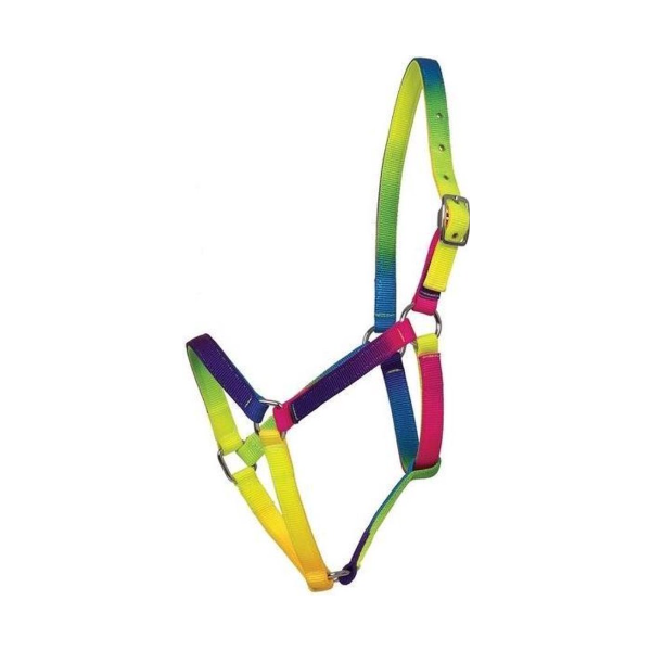 Kantar Rainbow neon multicolor WALDHAUSEN